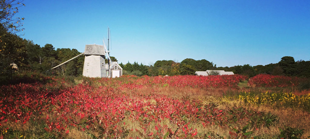 Drummer Boy Park and Higgins Windmill in the fall with red colors