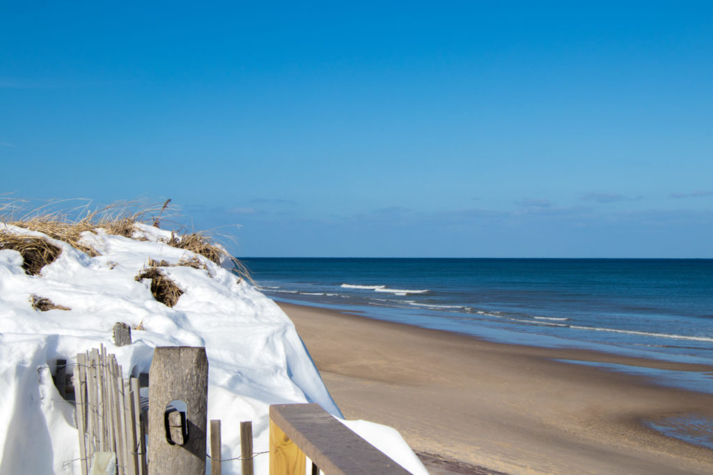 Nauset Beach with snow-covered dunes looking onto the waves
