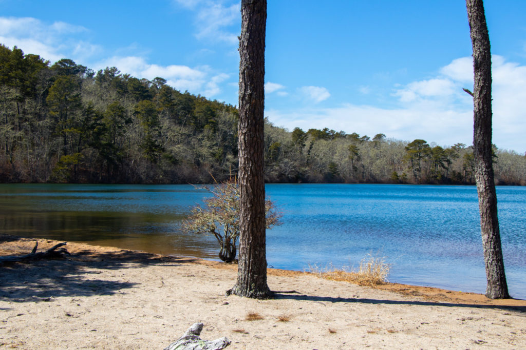 Flax Pond on a clear spring day surrounded by trees