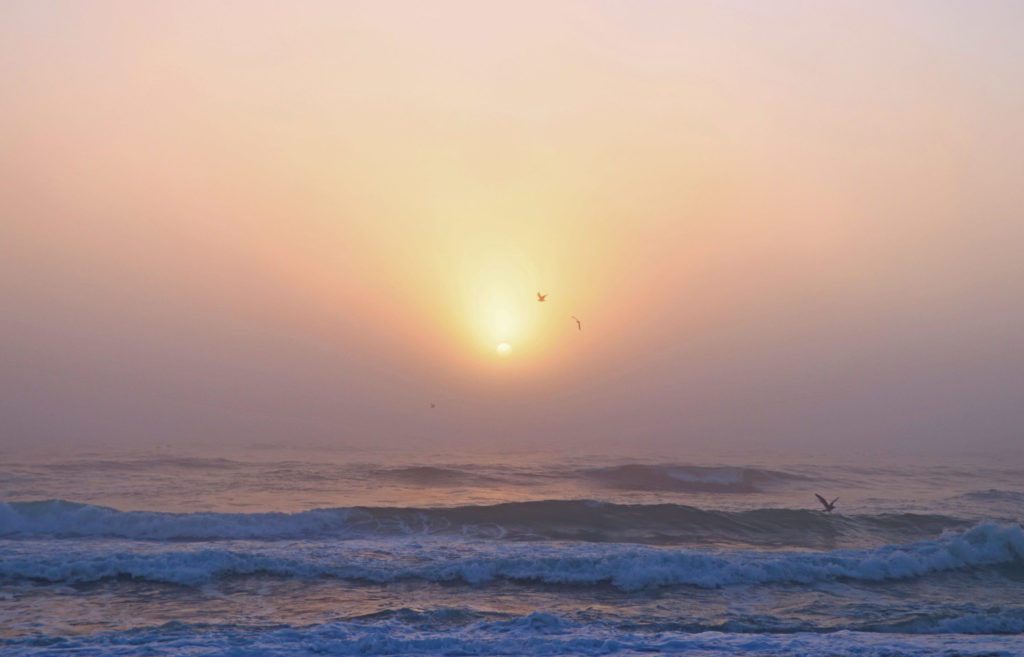 Sun rising above the ocean with a pale pink sky and seagulls flying above the waves and in front of the clouds