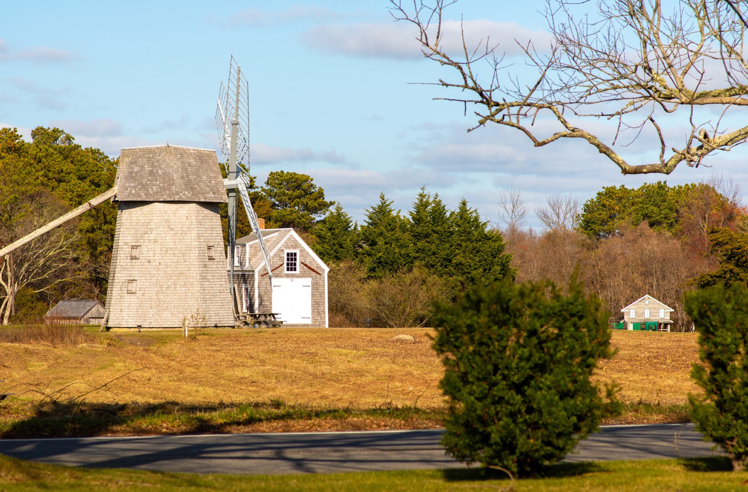 Kick Off the Season with Brewster for the Holidays