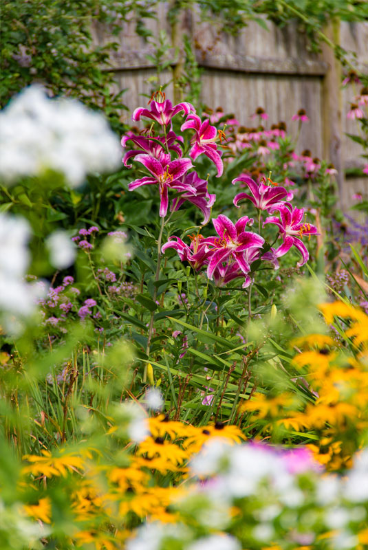 Pamper Photo | Brewster By the Sea Bed and breakfast | Cape Cod, Brewster, MA