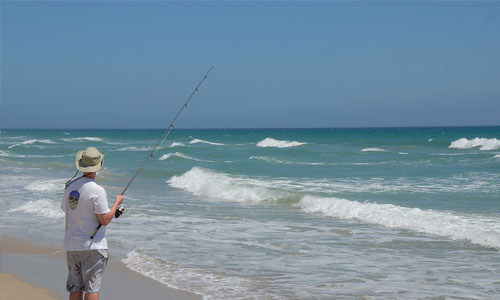 Sport Fishing Photo | Brewster By the Sea Bed and breakfast | Cape Cod, Brewster, MA