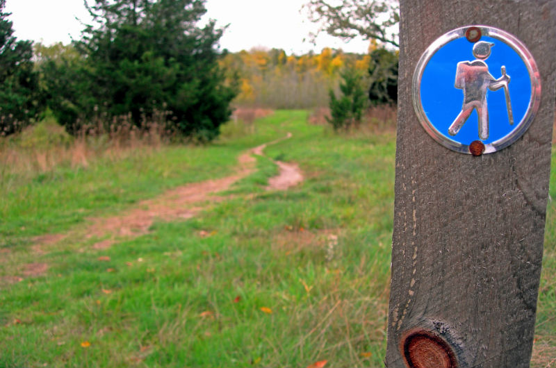 Hiking Cape Cod | Brewster By the Sea Cape Cod Inn | Brewster, MA