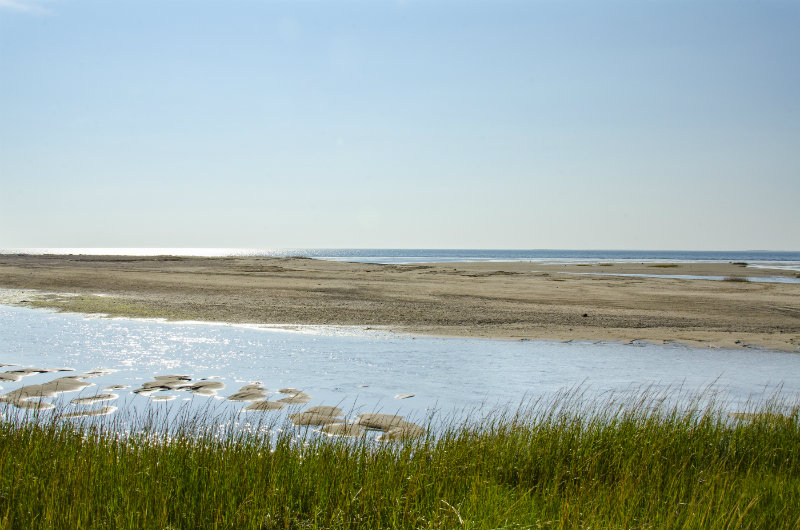 Hiking Cape Cod Means Beach Walks and Sand Dune Discoveries | Brewster By the Sea Cape Cod Inn | Brewster, MA