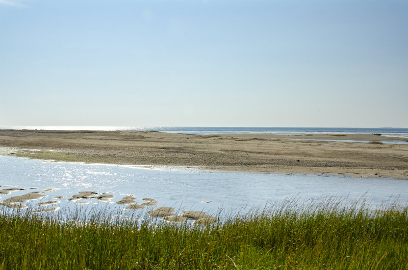 Tidal Flats Hiking Cape Cod | Brewster By the Sea Cape Cod Inn | Brewster, MA