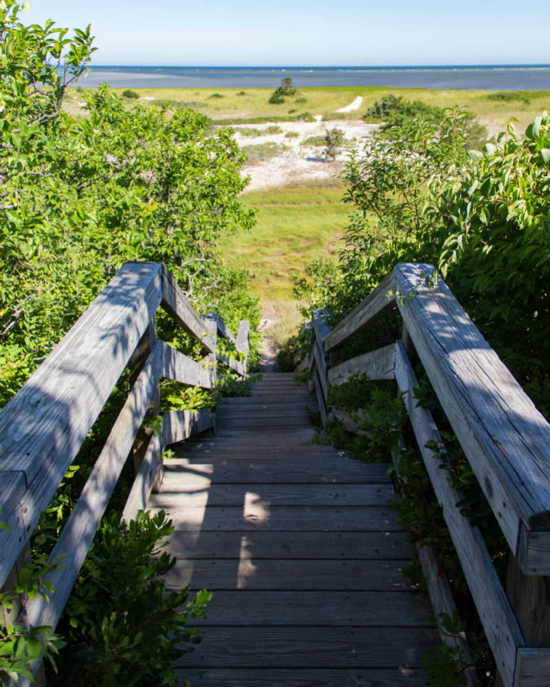 John Wing Island Trail - Hiking Cape Cod | Brewster By the Sea Cape Cod Inn | Brewster, MA