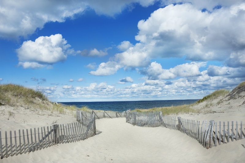 Pathway leading to Race Point Beach in Provincetown on a sunny day with clouds in the sky | Brewster By the Sea Cape Cod Inn | Brewster, MA