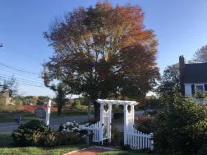 White gate and picket fence in front of house, creating a charming and inviting entrance.