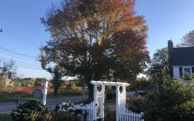 Top 8 Fall Festivals on Cape Cod