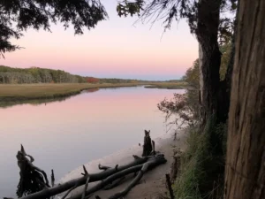 A serene river.