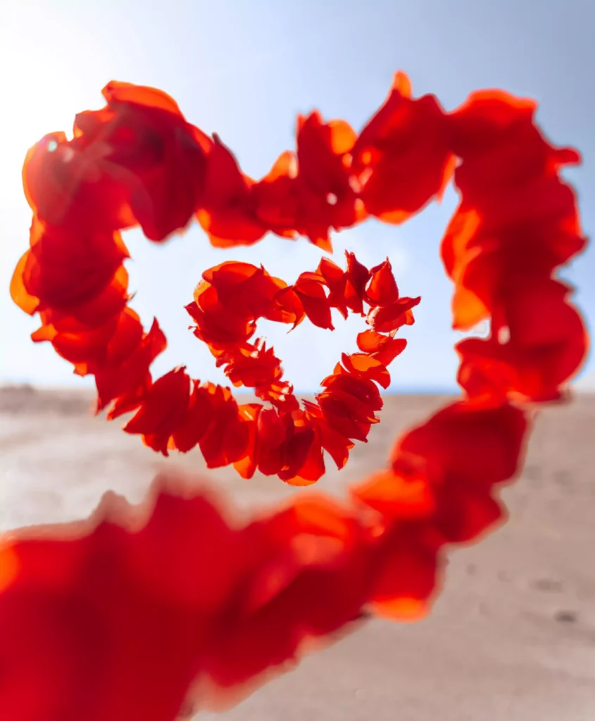 Romantic Getaway: Exploring the Charm of Cape Cod.