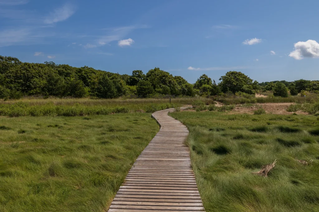 Top 10 Must-Try Hikes on Cape Cod: A Nature Lover’s Guide.
