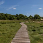 Top 10 Must-Try Hikes on Cape Cod: A Nature Lover’s Guide