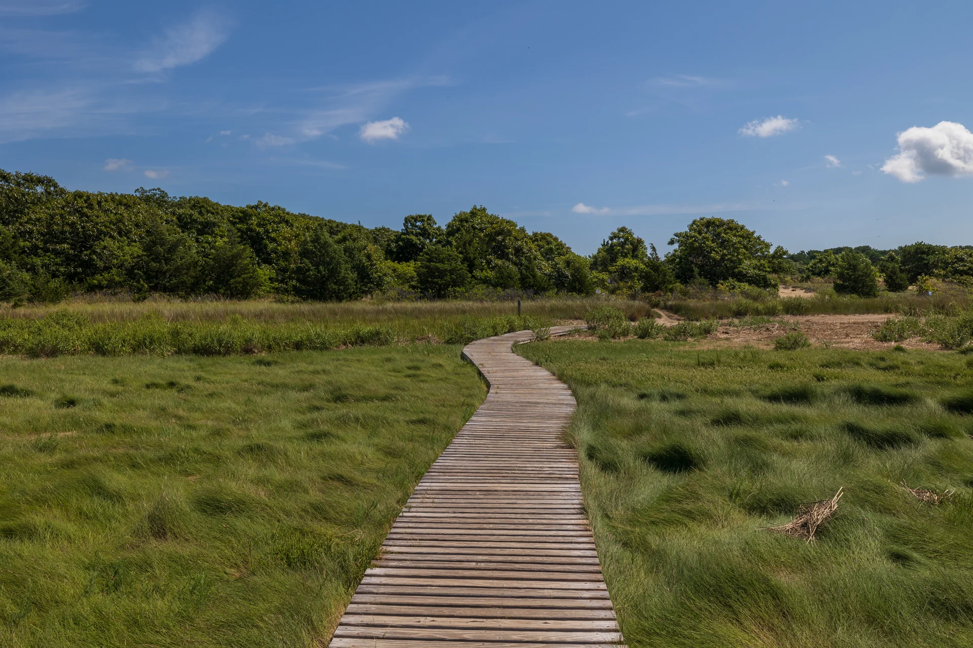 Top 10 Must-Try Hikes on Cape Cod: A Nature Lover’s Guide