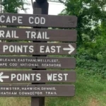 Exploring the Cape Cod Rail Trail