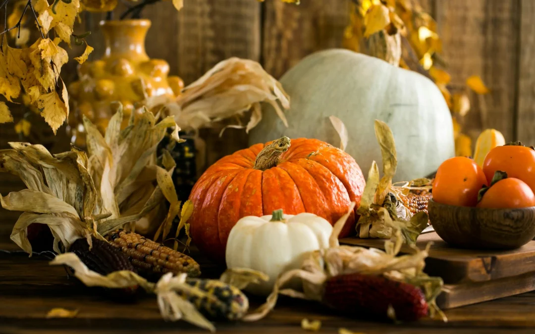 Top Five Reasons to Celebrate Thanksgiving in Cape Cod