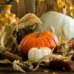 Top Five Reasons to Celebrate Thanksgiving in Cape Cod